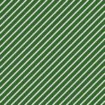 歡聚-綠色斜紋
