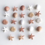 美國造型釦-貝殼-Tiny Seashells