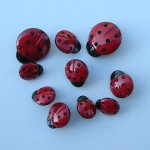 瓢蟲(大中小)-Ladybugs