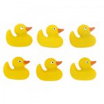 黃色小鴨-BF Ducks